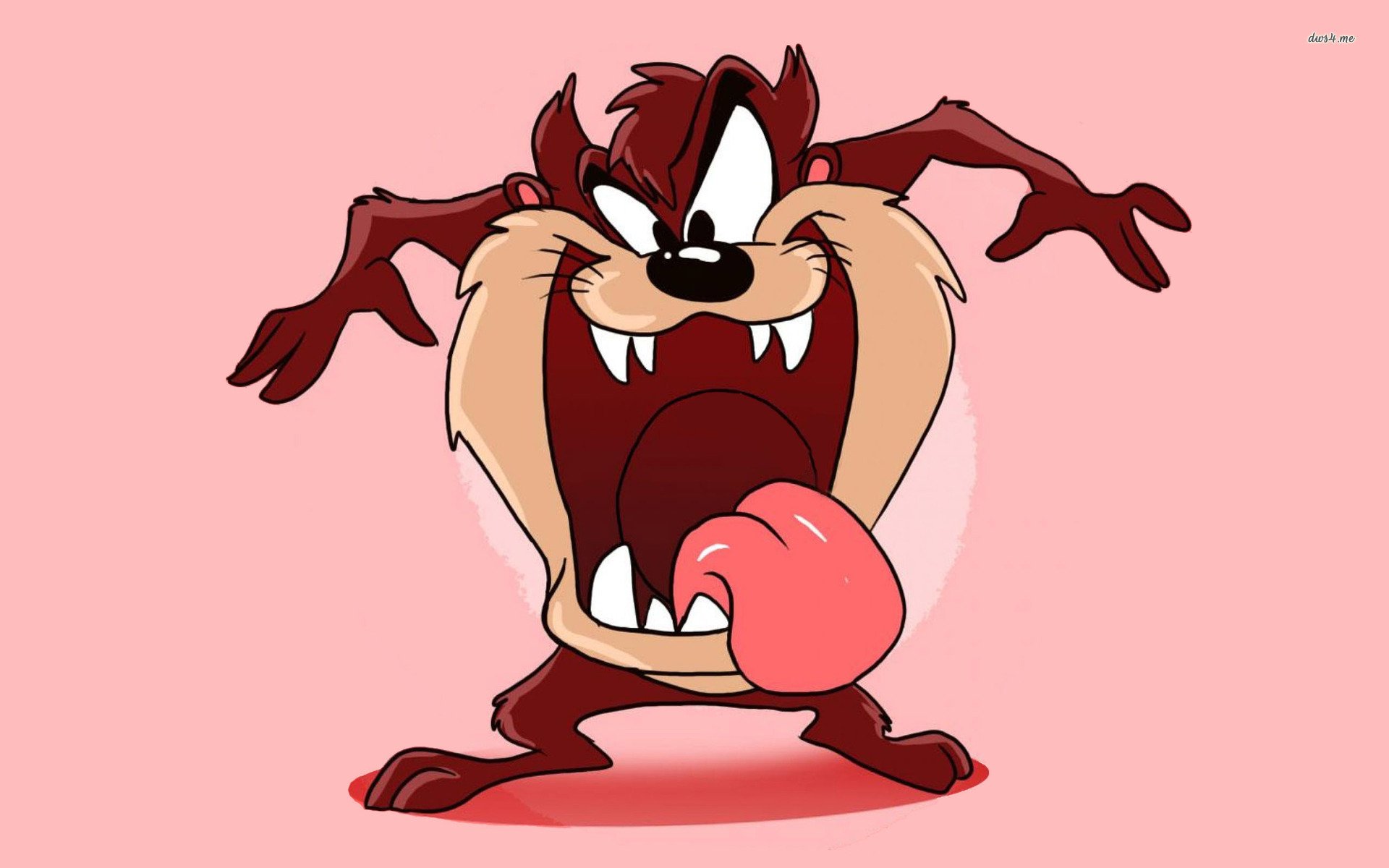 Tasmanian Devil Wallpaper Cartoon