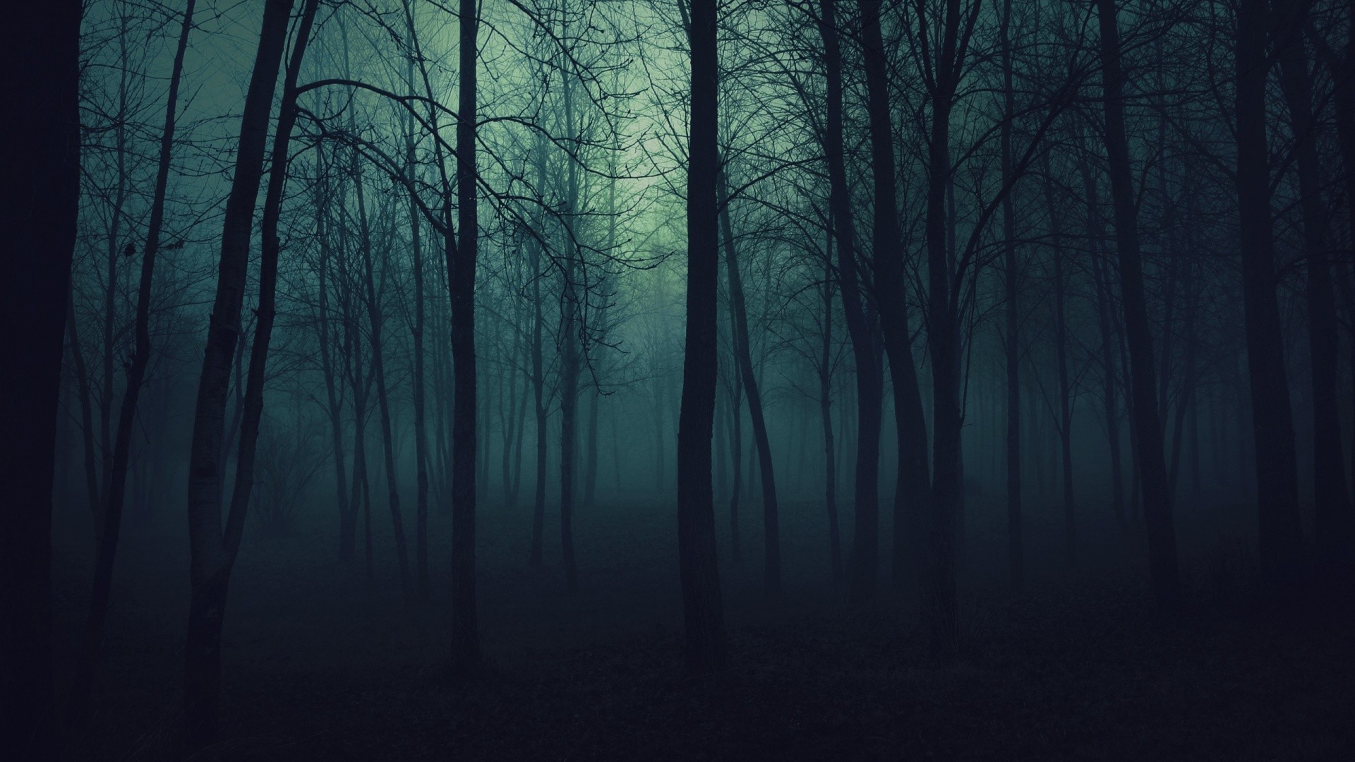 Creepy Trees Dark Forests Mist Wallpaper