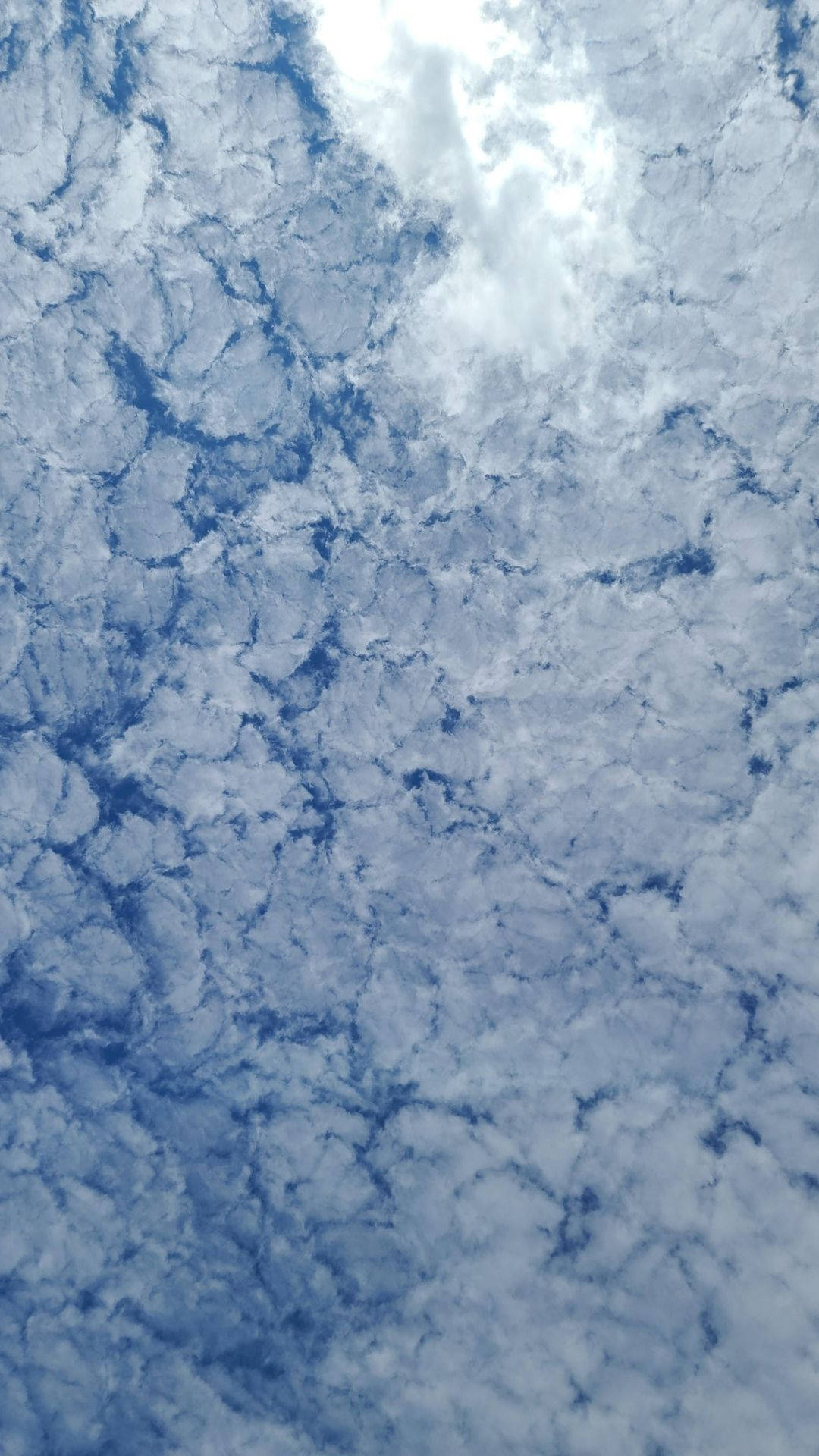 Covered Sky Wallpaper