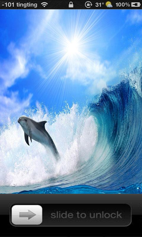 Dolphin Lock Screen Wallpaper Screenshot