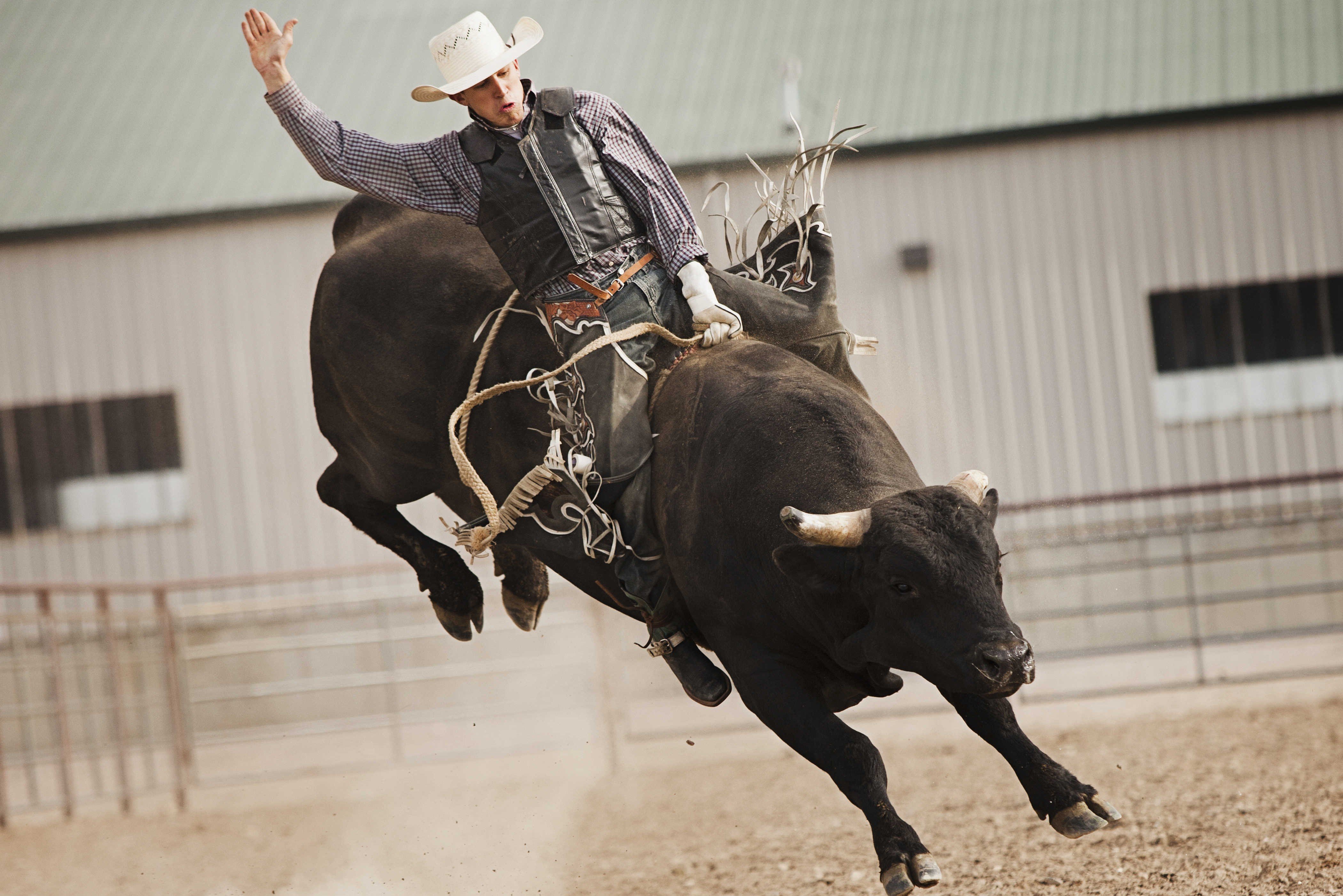 Bull Riding Bullrider Cowboy Western Cow Extreme Rodeo