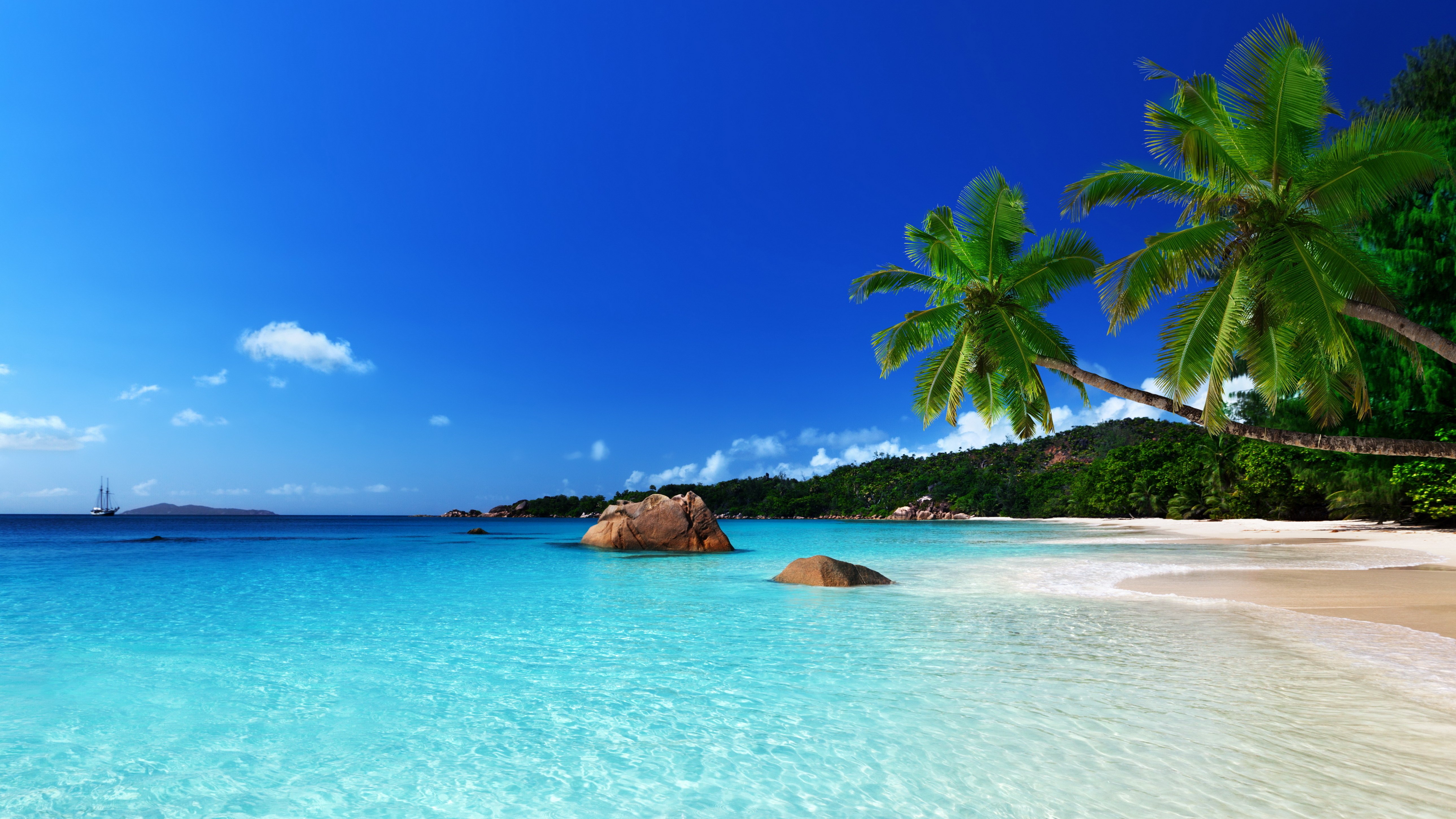  paradise beach ocean sea palm summer coast wallpaper background 5156x2900