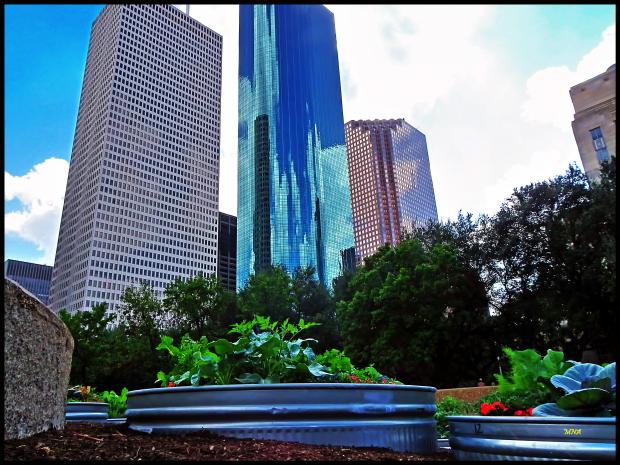 City Houston Landscape Moeasreardesktop Scenery Texas Wallpaper