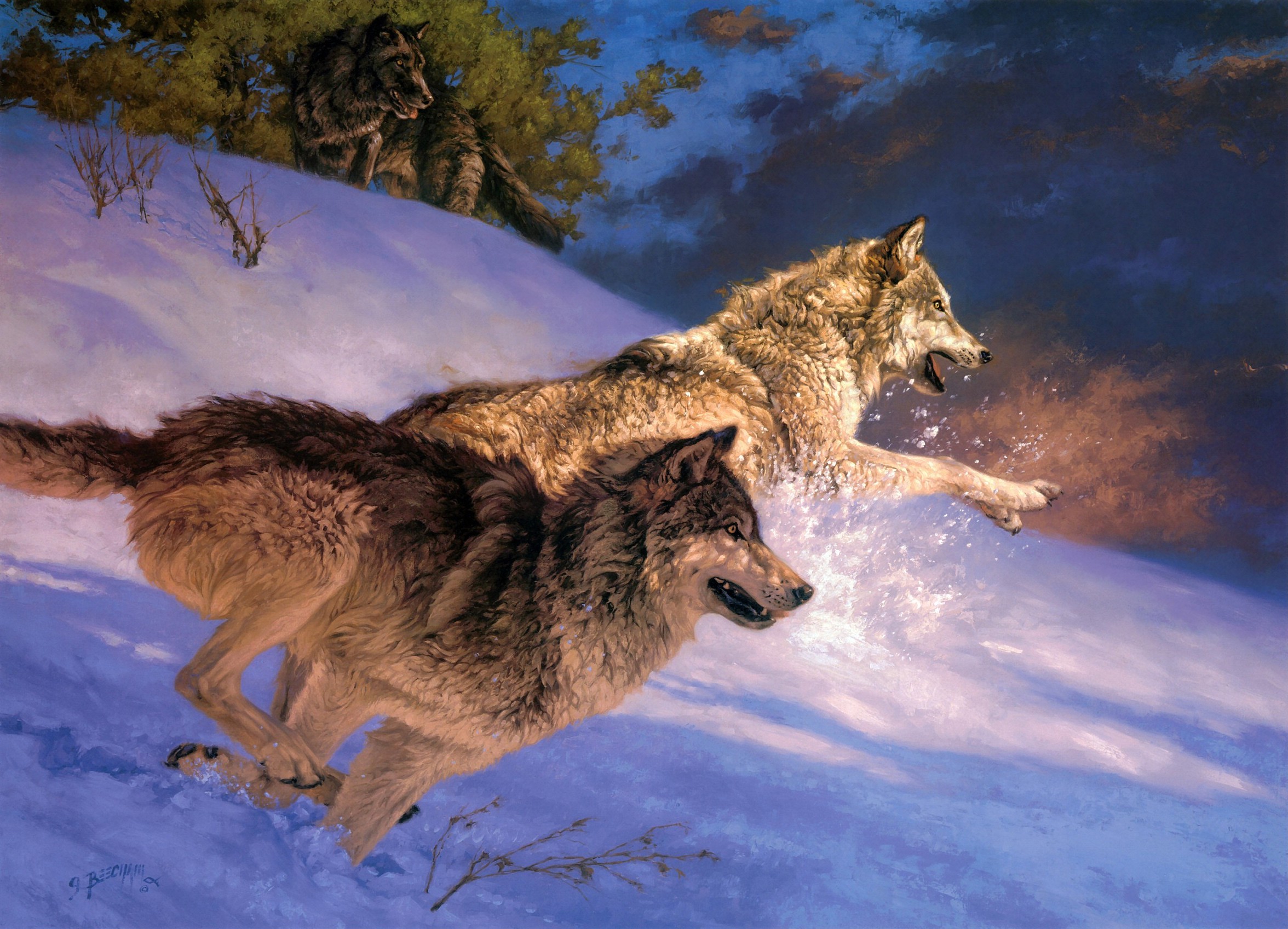 Wolves Running Wallpaper HD