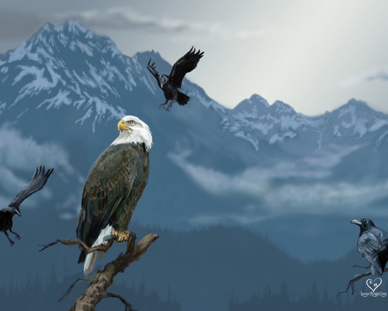 Eagle Hawk Wallpapers 1280x1024