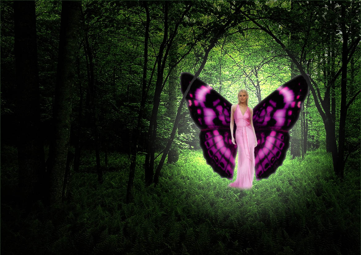 Free Fairies background image Fairies wallpapers