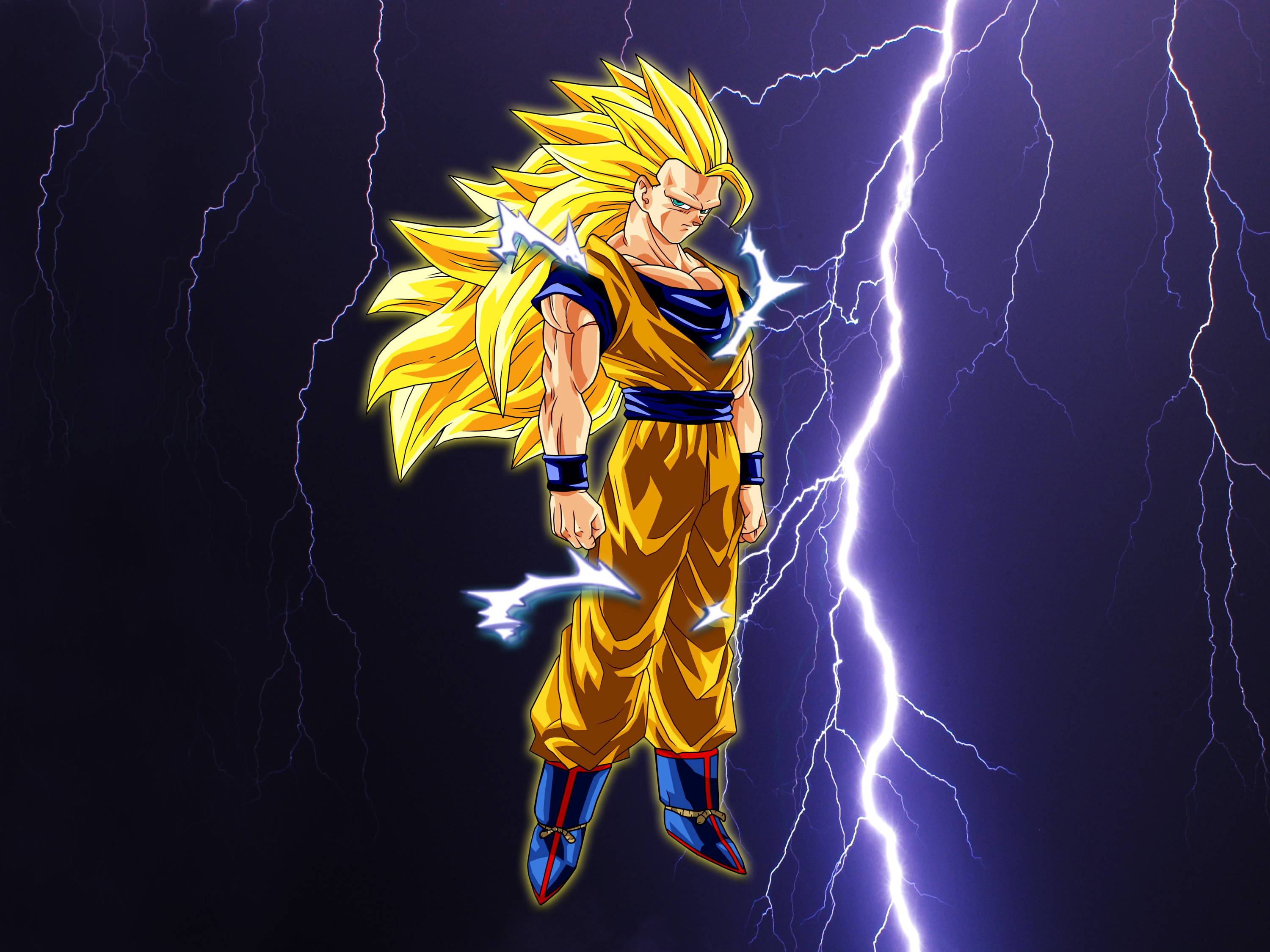 1280x2120 Battle Fire Super Saiyan 3 Goku Dragon Ball Z iPhone 6 HD 4k  Wallpapers Images Backgrounds Photos and Pictures