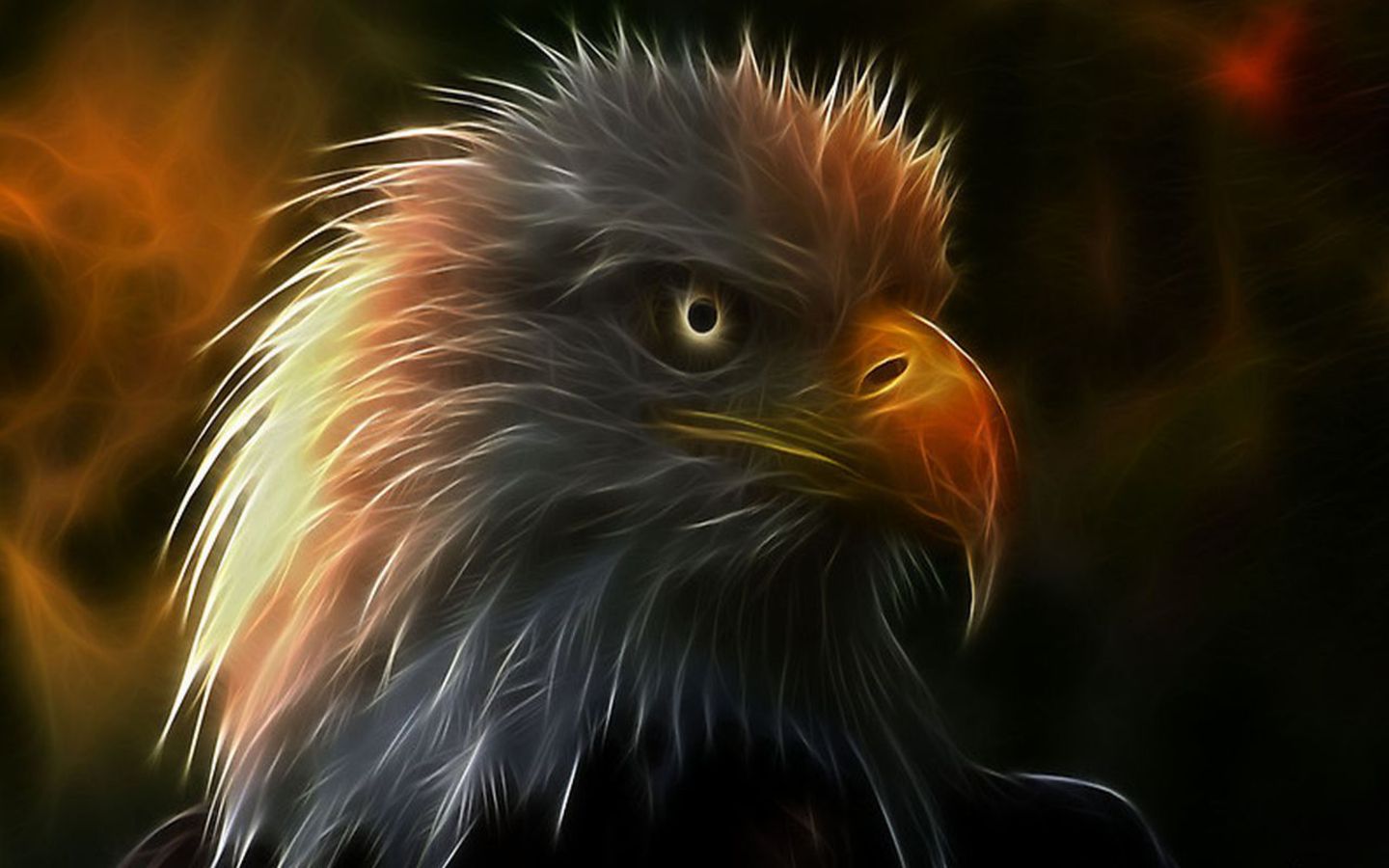 Eagle Desktop Wallpaper