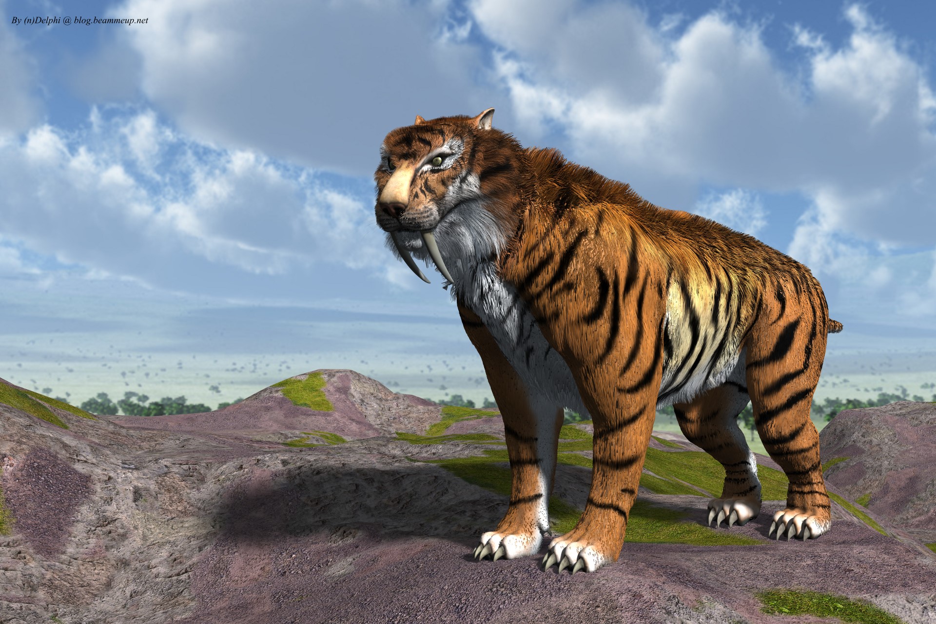 Sabertooth Tiger Smilodon Fatalis by nDelphi on
