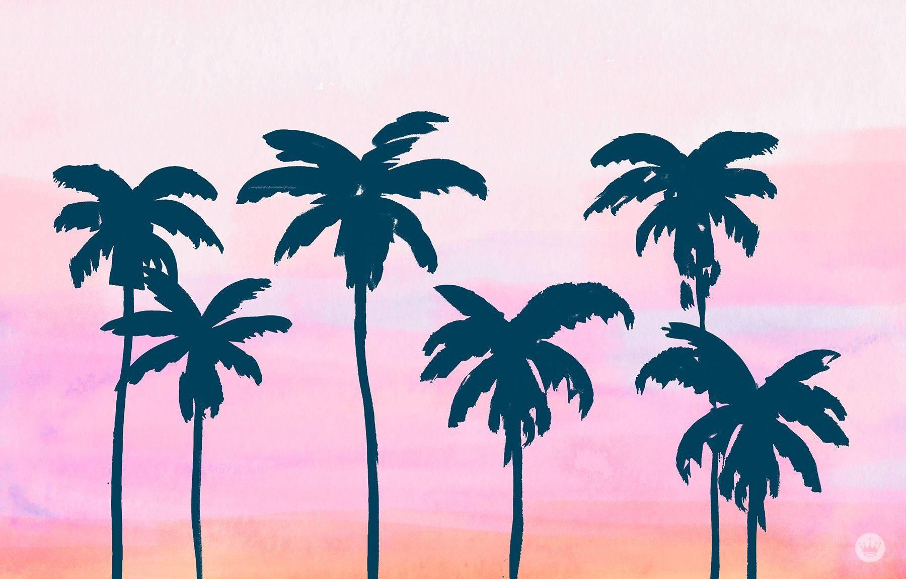 Free download 100 Summer Laptop Background s 1800x1152 for your Desktop  Mobile  Tablet  Explore 44 Tropical Preppy Summer Wallpapers  Preppy  iPhone Wallpaper Preppy Wallpapers Preppy Monogram Wallpaper