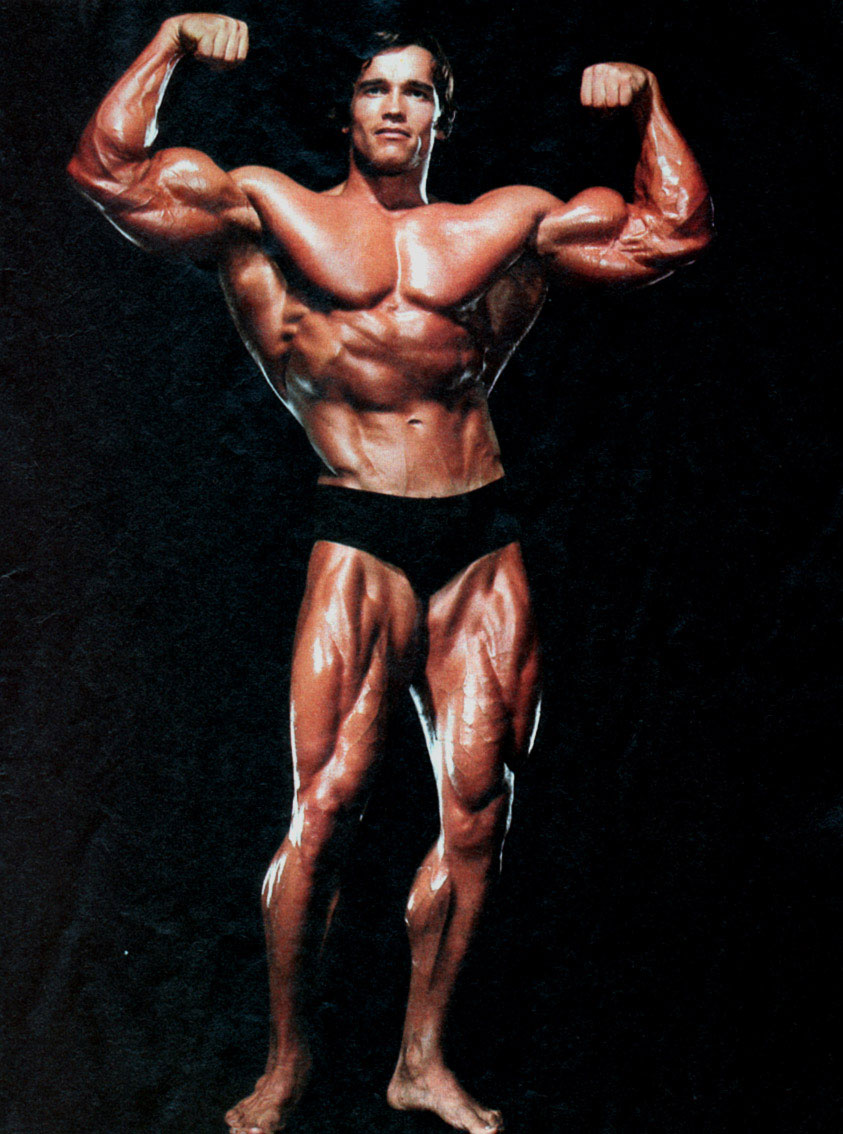 10 HD Arnold Schwarzenegger Wallpapers