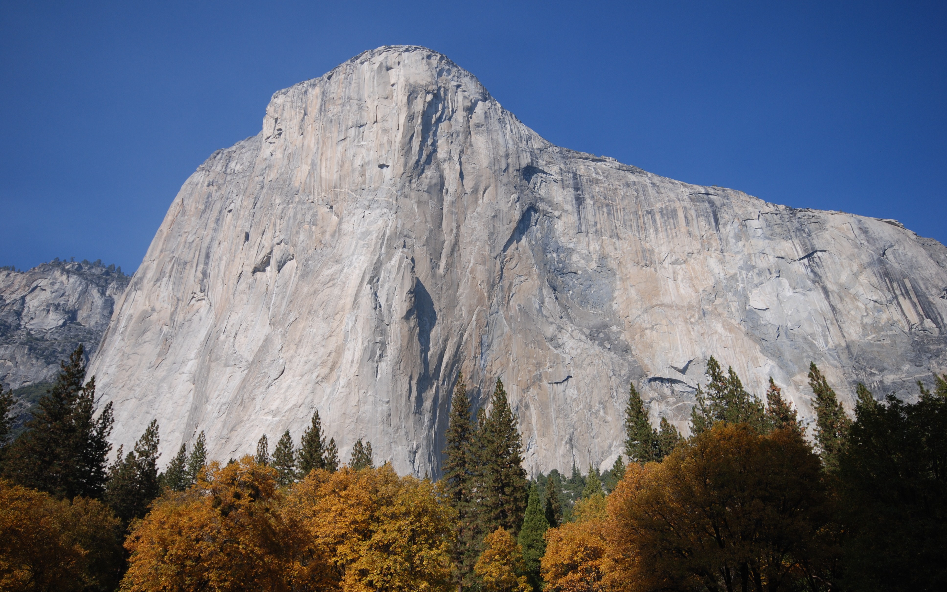 mac os x el capitan torrent