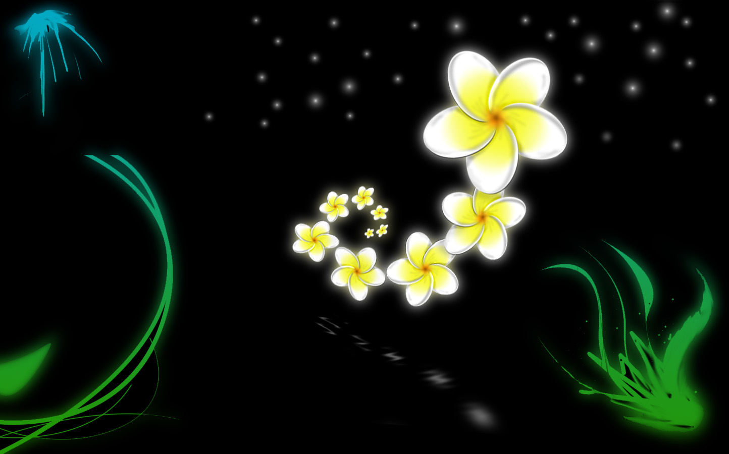 Frangipani Flowers Wallpaper