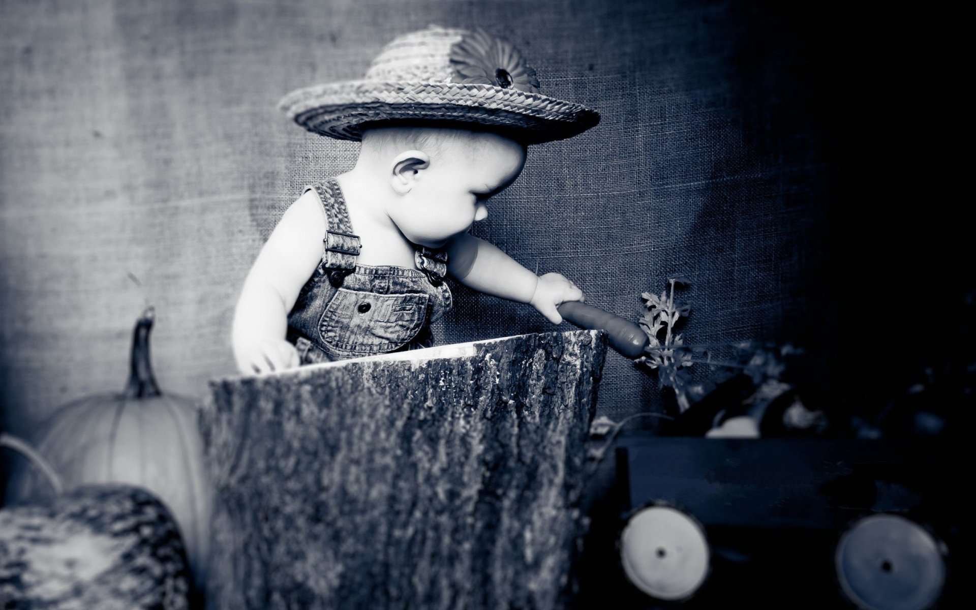 Photography Baby HD Wallpaper