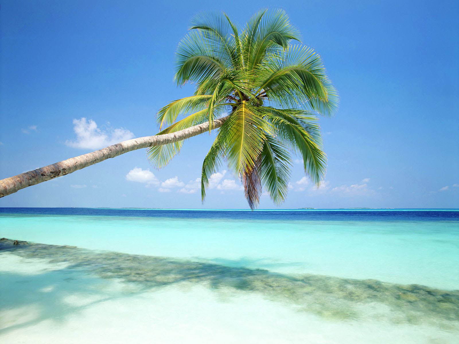 Tag Beach Wallpaper Background Photos Pictures And Image For