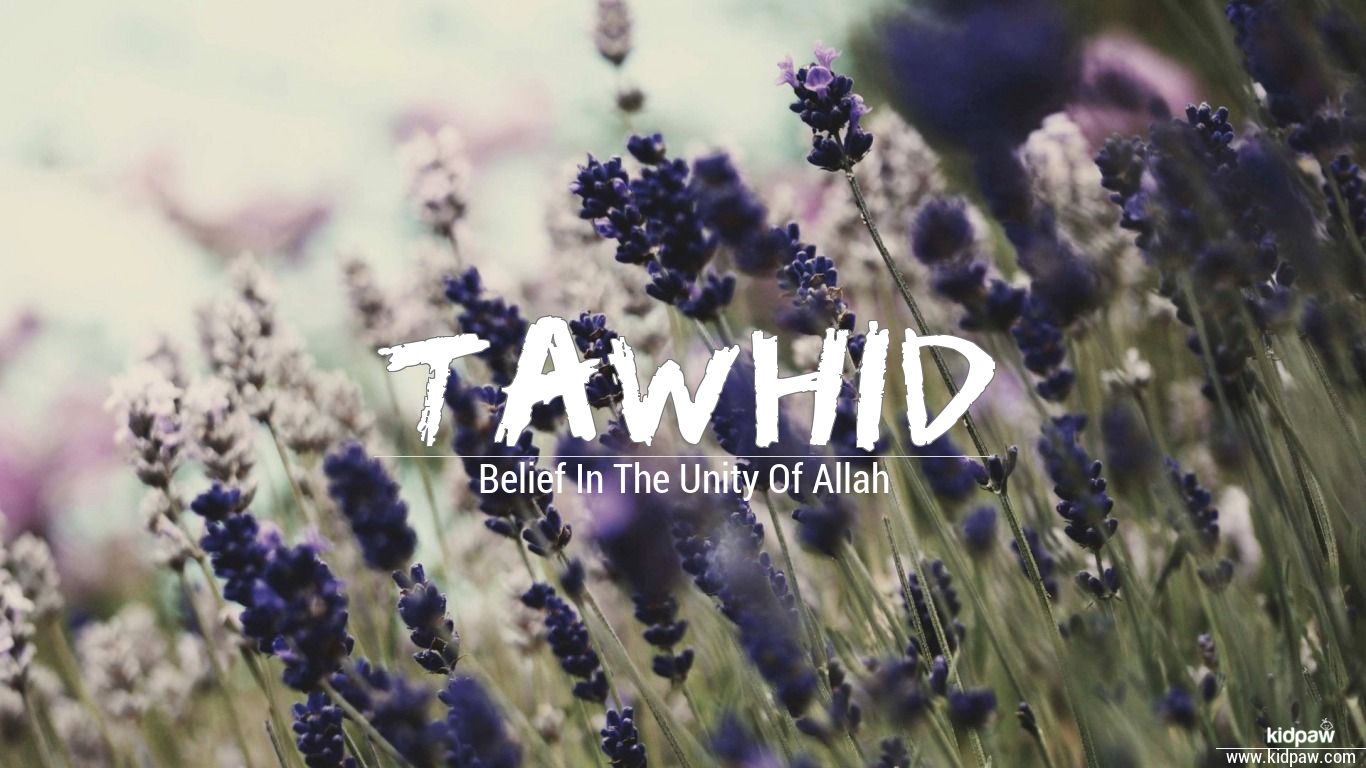 Tawhid 3d Name Wallpaper For Mobile Write On Photo Online