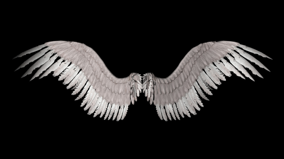 New Angel Wings By Shadavar Stock