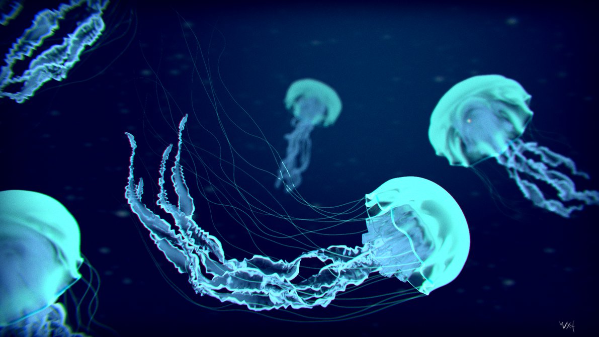 Glowing Jellyfish By Mtndewman98