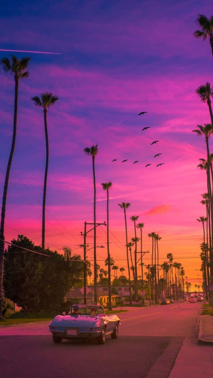 Hollywood Street Pixel California Background Wallpaper