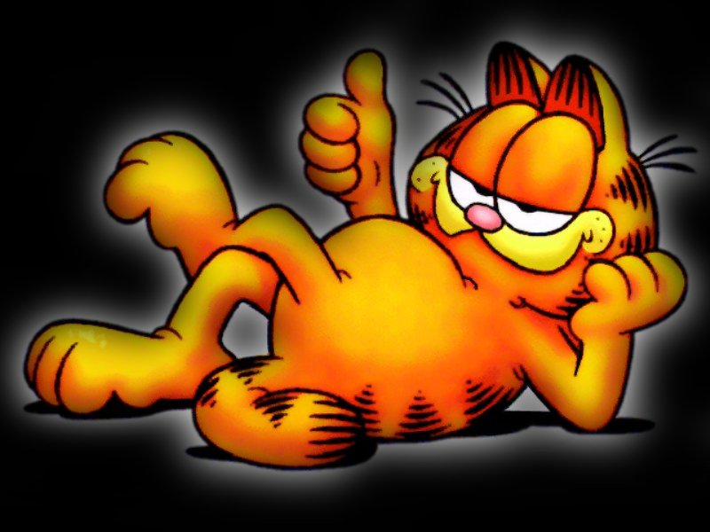 Garfield Wallpaper Anime Cartoon