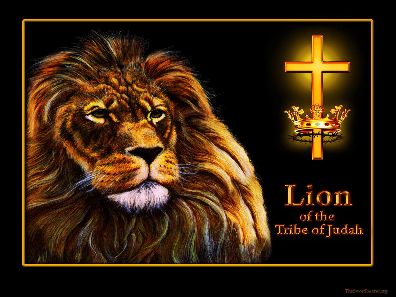 Lion Of The Tribe Judah Cross And Crown Christian Wallpaper