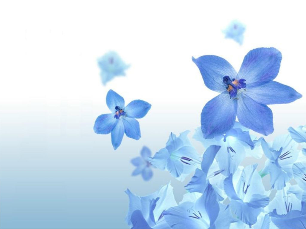 Wallpaper Best Size Blue Flowers