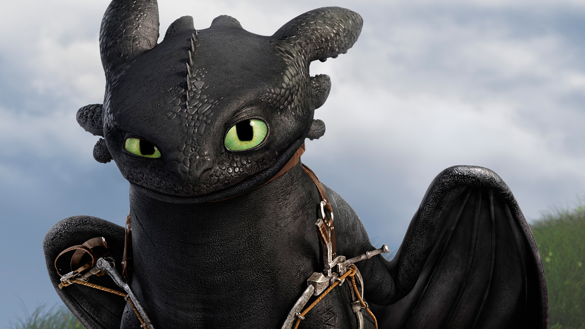 Train Your Dragon Movie Animation HD 1080p Wallpaper