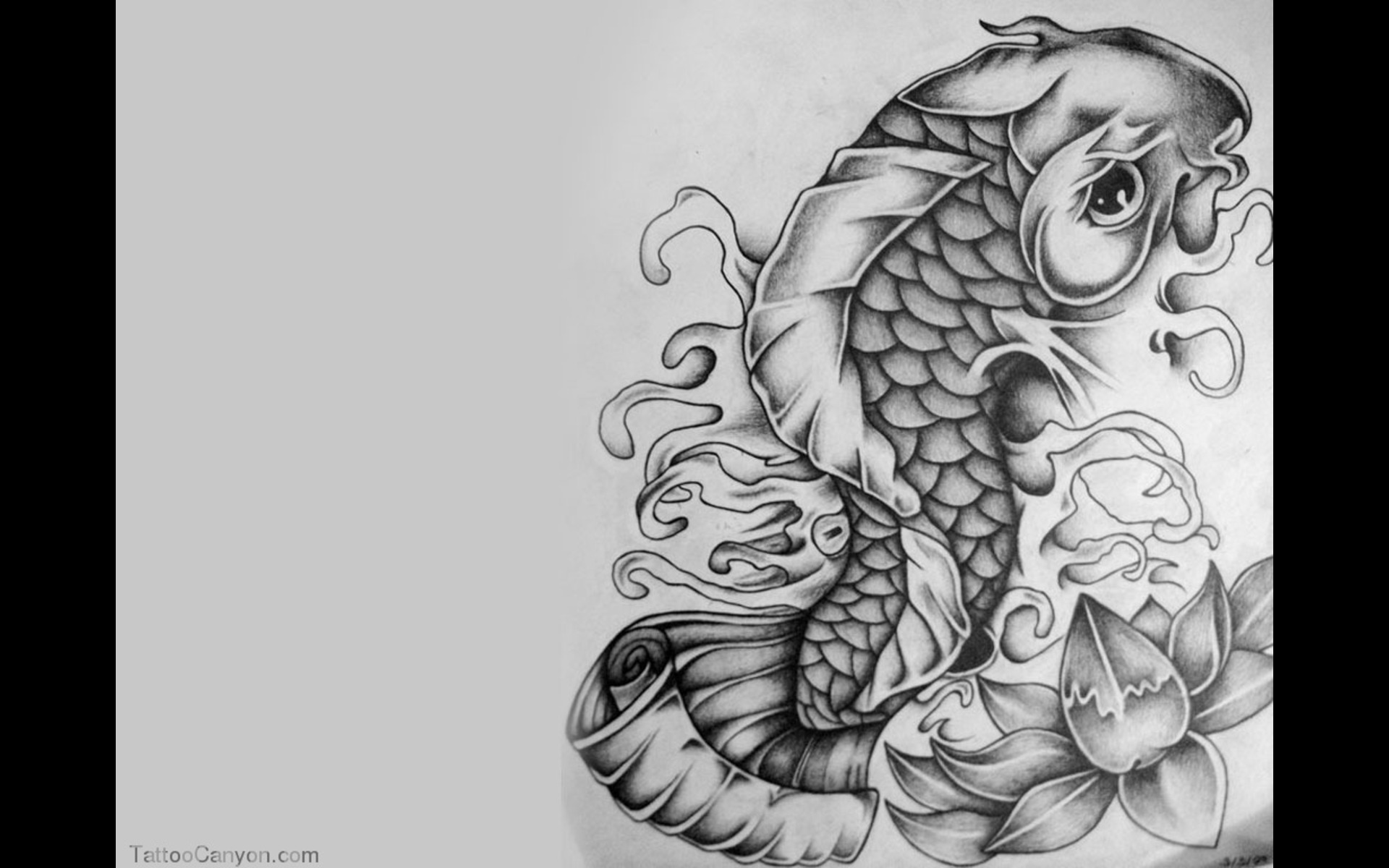 Koi Fish Tattoo Wallpaper Design Jpg