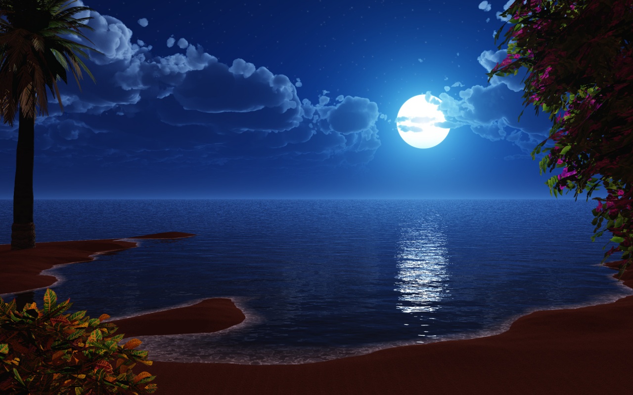 Beach Night Desktop Background HD Wallpaper