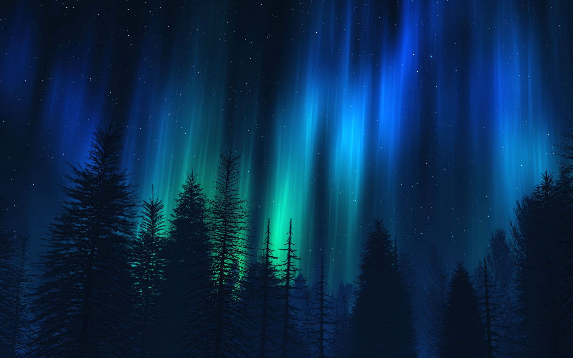 Aurora Borealis Forest HD Design Background