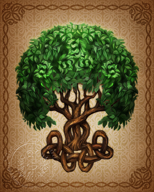Celtic Tree Of Life Wallpaper Bri