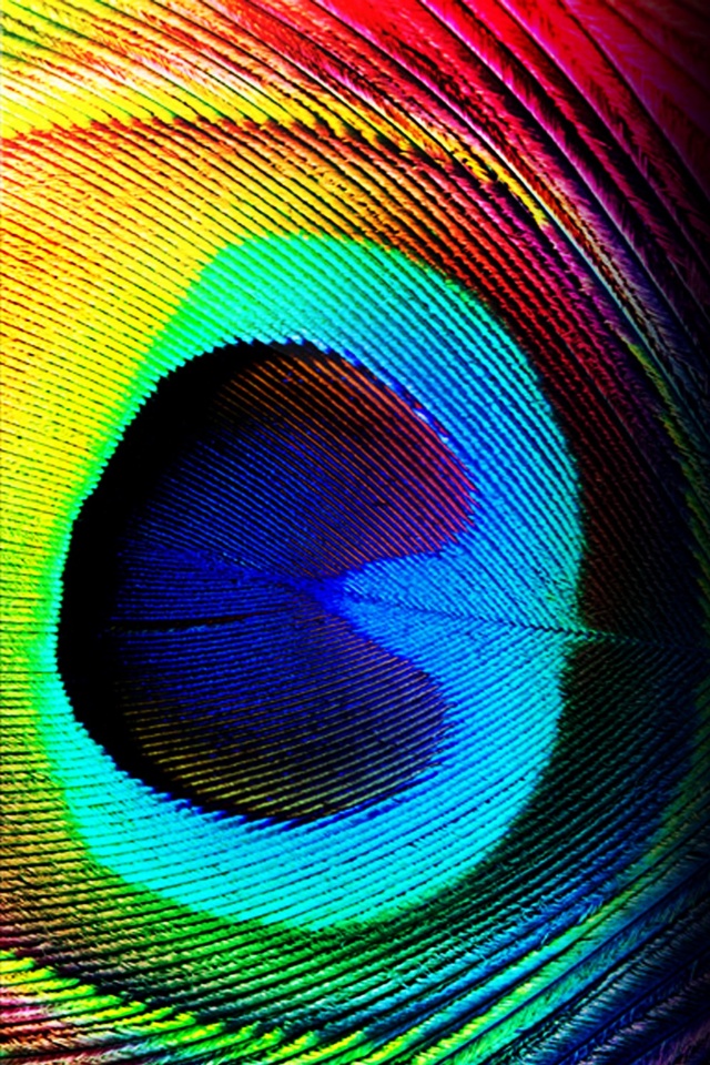 By Phat Trance In iPhone Wallpaper Show As Slideshow