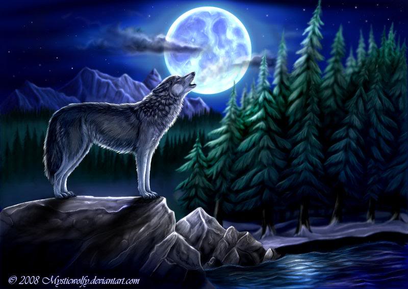 Wolf Moon Drawing