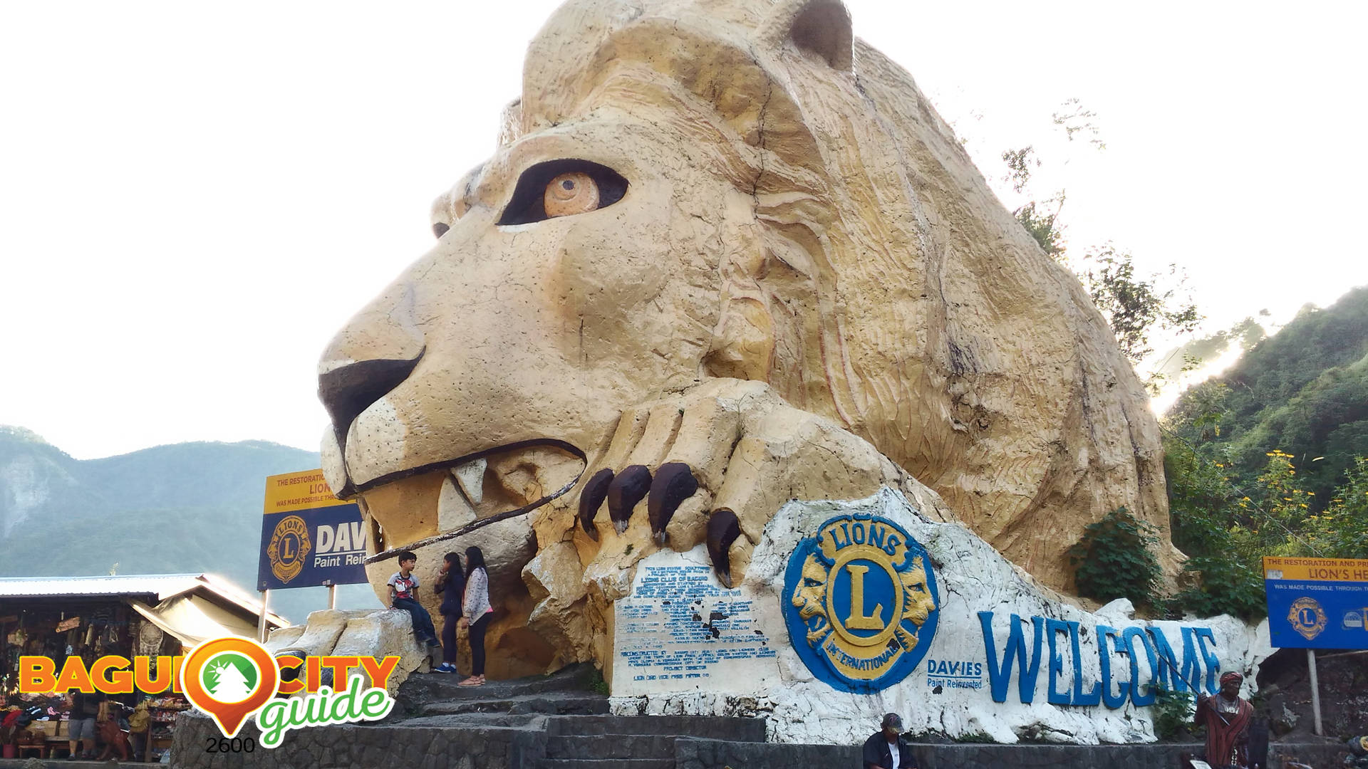 Lion Head Wallpaper