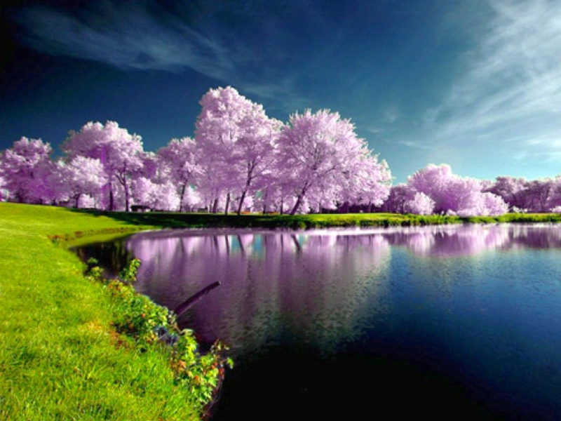 Breathtaking Nature HD Wallpaper Live Hq Pictures