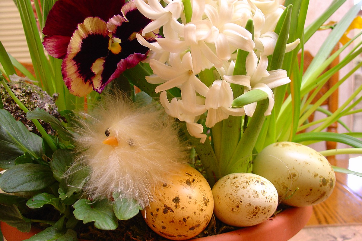 Easter Flowers And Occasions