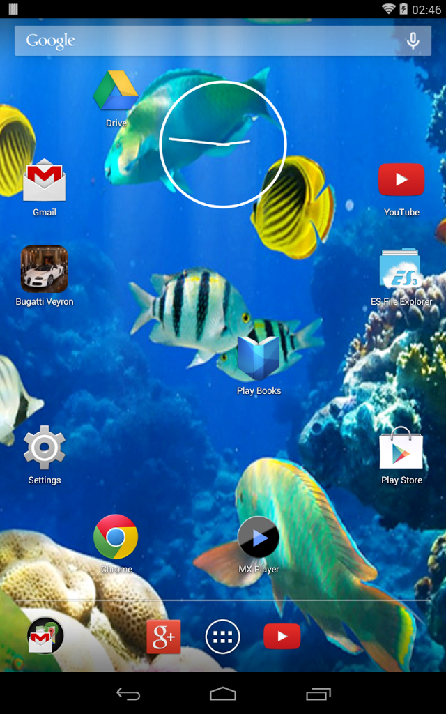 Beta Fish Windows Wallpaper Desktop
