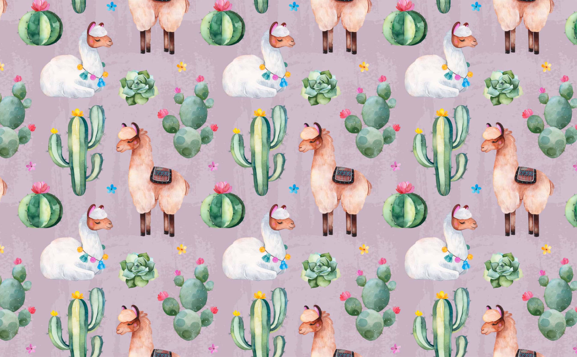 Lama 3cd9b6pxfrbo7gp0 Wallpaper