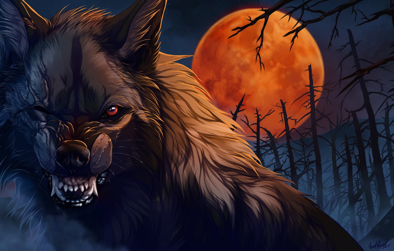Wallpaper Night Wolf Wool Mouth Fangs Werewolf Art Scars