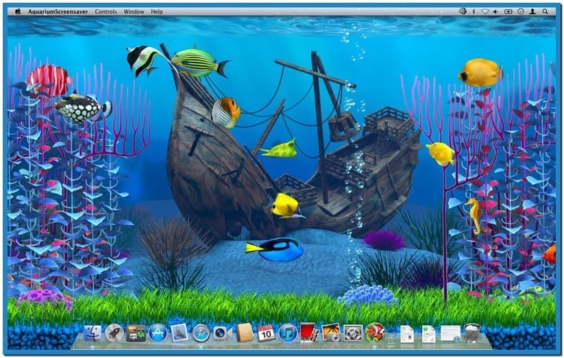 Animated fish tank screensaver mac   Download free