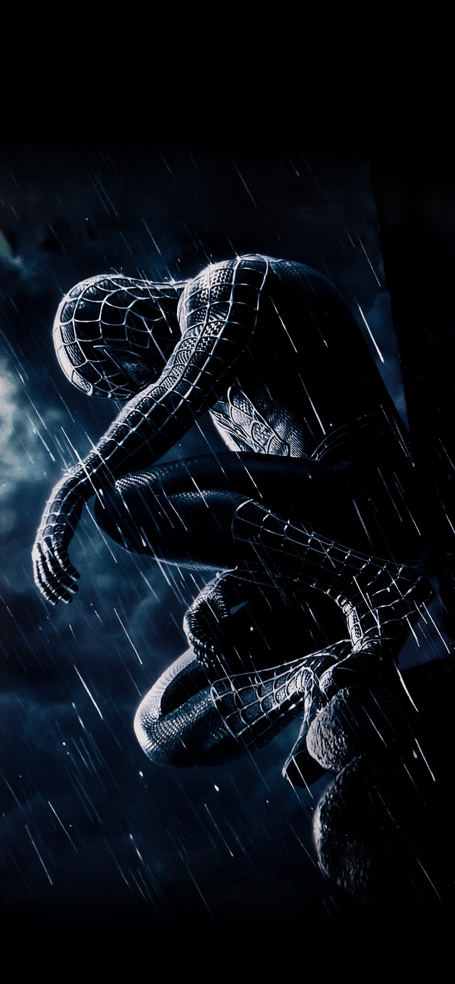 Removed The Text From Sam Raimi Spider Man Posters And