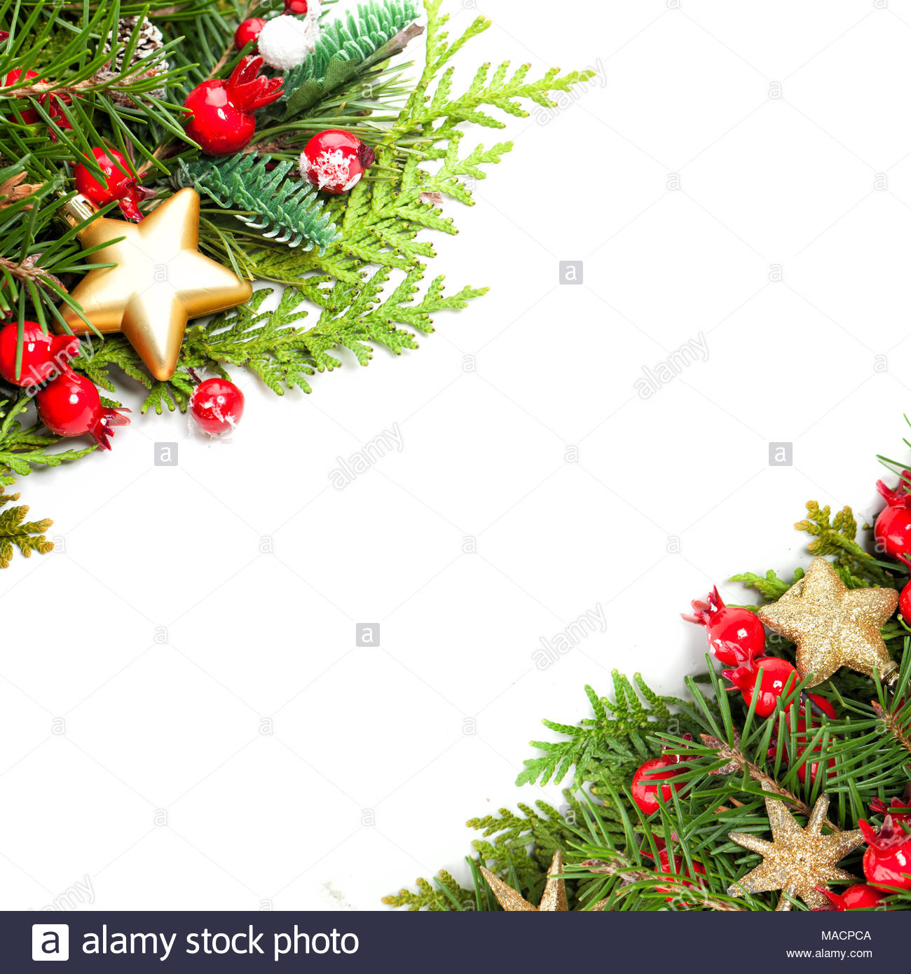 Beautiful Christmas Background With Xmas Tree Twig Red Holly