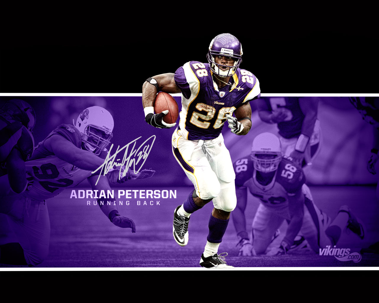 Minnesota Vikings Wallpaper