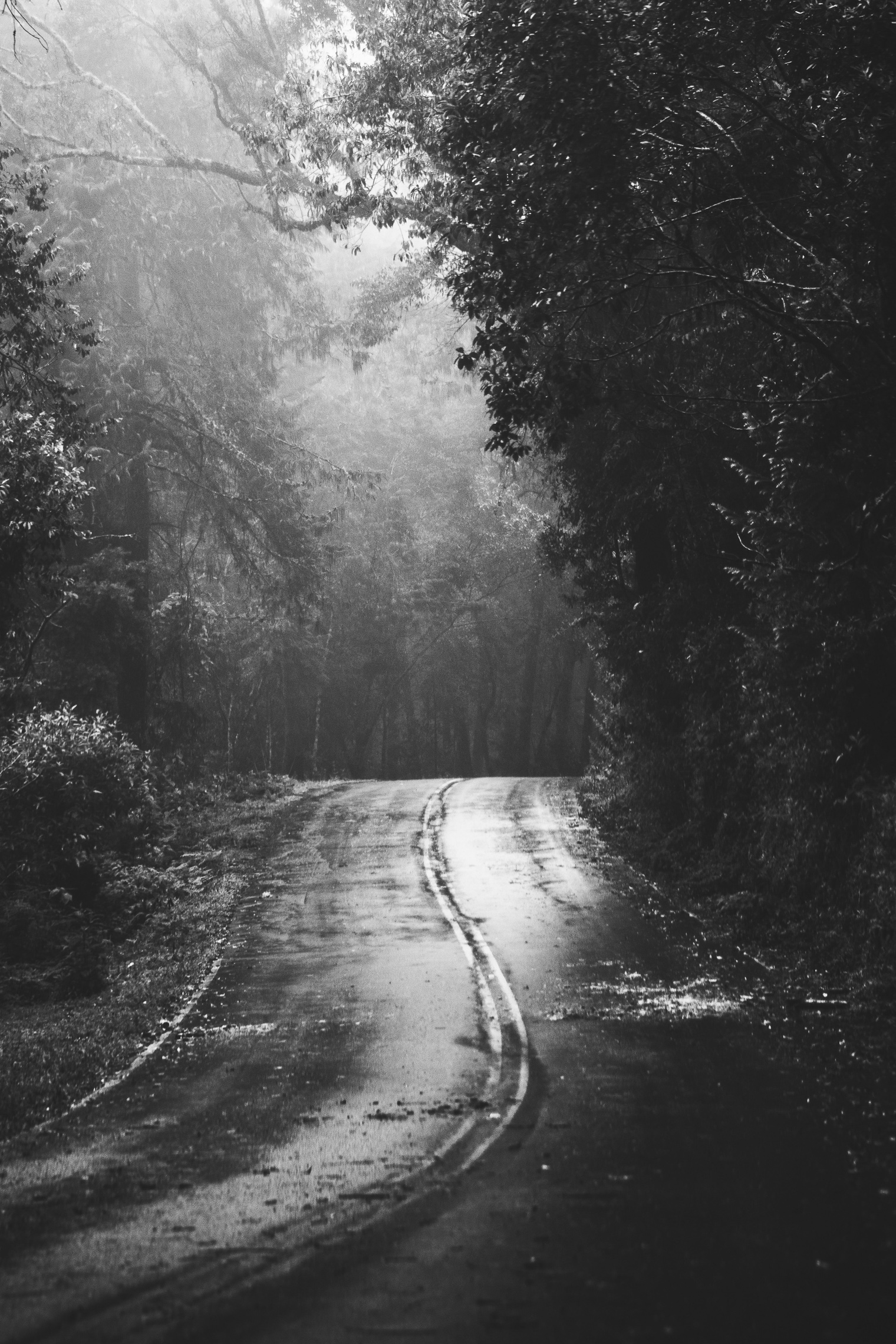 Stunning Black And White iPhone Wallpaper