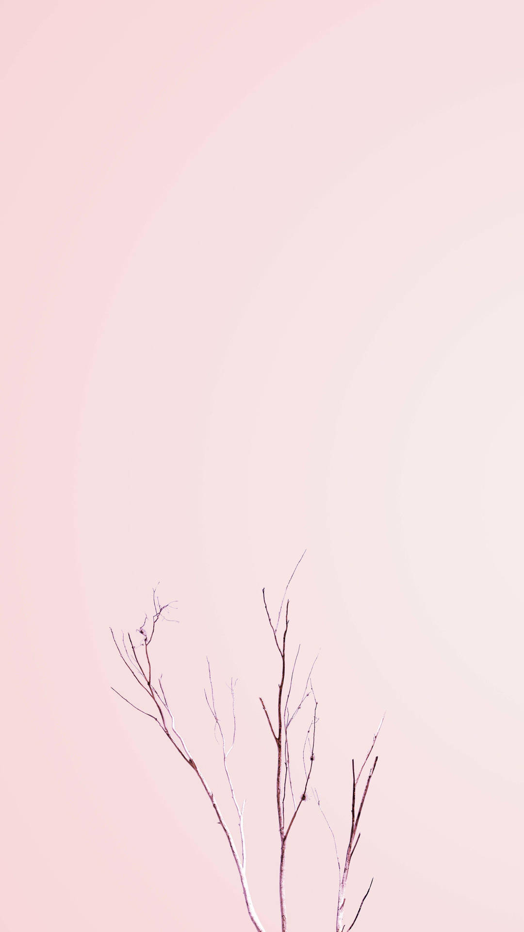 Top Pastel Phone Wallpaper Full HD 4k To Use