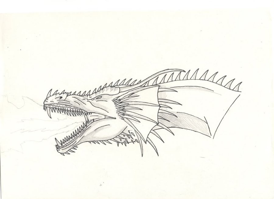 Dragon Head Drawings Wallpaper Hq Background HD