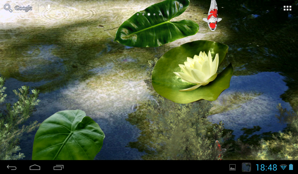 Koi Pond Live Wallpaper Amazing With Floating Fishes Enjoy