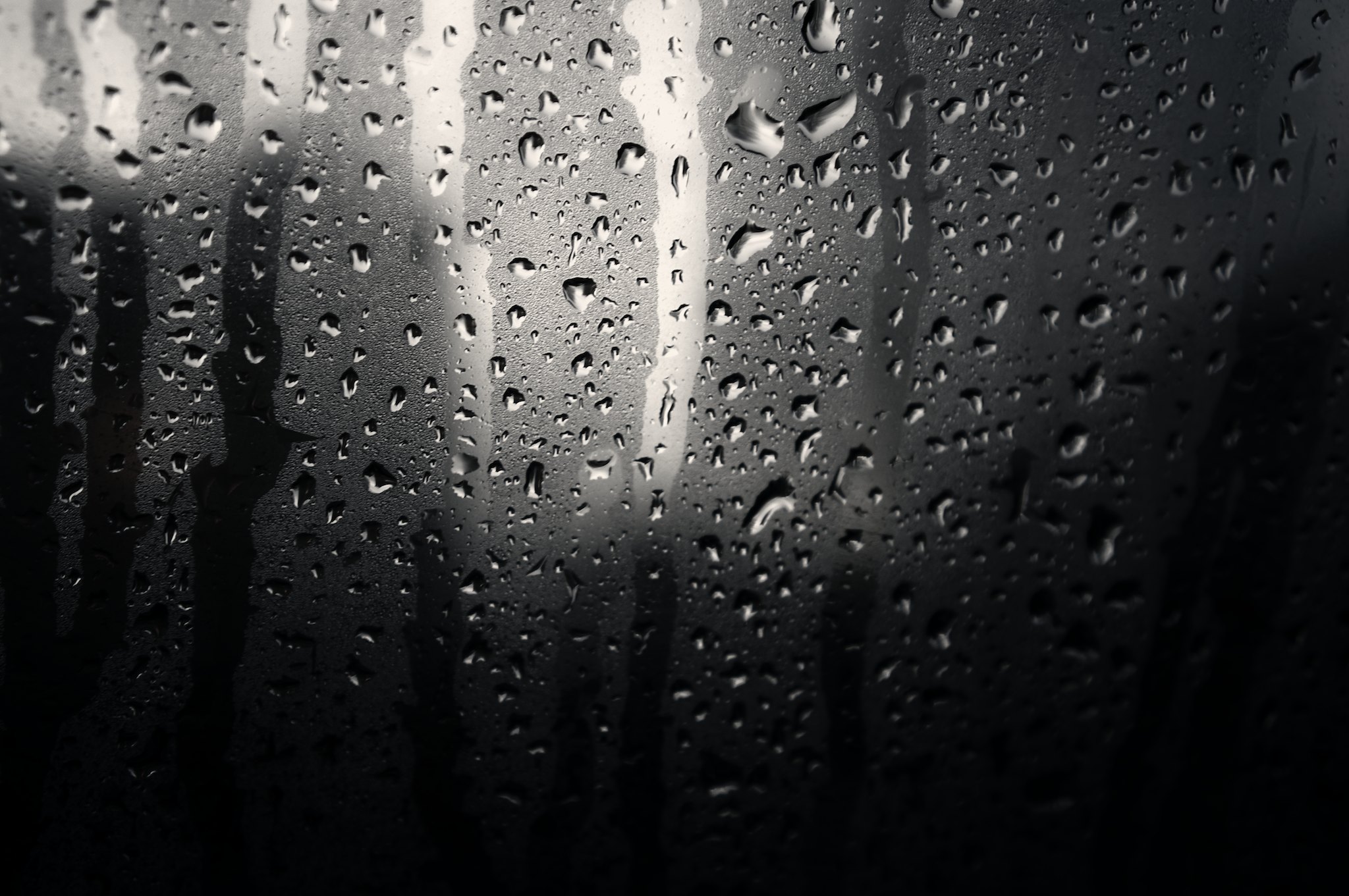 Rain On The Window Pigpog