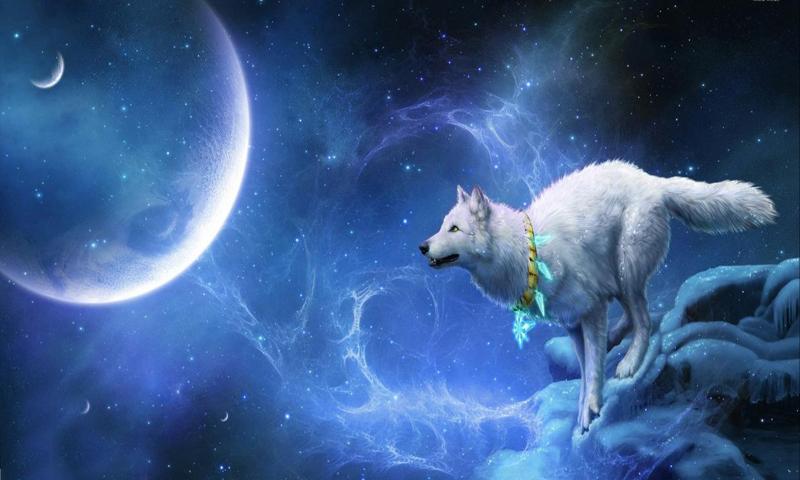 Wolf Galaxy Wallpaper Android Apps On Google Play