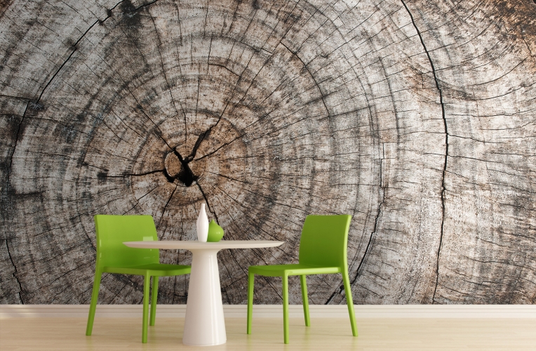 Tree Mural Wallpaper High Definition